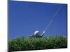 Golf Club Lined Up with Golf Ball on Tee-Mitch Diamond-Mounted Photographic Print