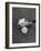 Golf Club with Mirror on Head Being Used to Help Accuracy of Golfer's Shot-Bernard Hoffman-Framed Photographic Print