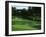Golf Course 3-William Vanderdasson-Framed Giclee Print