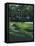 Golf Course 4-William Vanderdasson-Framed Premier Image Canvas