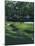 Golf Course 4-William Vanderdasson-Mounted Giclee Print