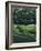 Golf Course 4-William Vanderdasson-Framed Giclee Print