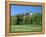 Golf Course and Castell Coch, Tongwynlais, Near Cardiff, Wales-Peter Thompson-Framed Premier Image Canvas