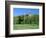 Golf Course and Castell Coch, Tongwynlais, Near Cardiff, Wales-Peter Thompson-Framed Photographic Print