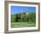 Golf Course and Castell Coch, Tongwynlais, Near Cardiff, Wales-Peter Thompson-Framed Photographic Print