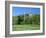 Golf Course and Castell Coch, Tongwynlais, Near Cardiff, Wales-Peter Thompson-Framed Photographic Print