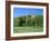 Golf Course and Castell Coch, Tongwynlais, Near Cardiff, Wales-Peter Thompson-Framed Photographic Print