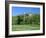 Golf Course and Castell Coch, Tongwynlais, Near Cardiff, Wales-Peter Thompson-Framed Photographic Print