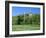 Golf Course and Castell Coch, Tongwynlais, Near Cardiff, Wales-Peter Thompson-Framed Photographic Print