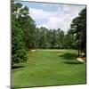 Golf Course at Pinehurst Resort, Pinehurst, Moore County, North Carolina, USA-null-Mounted Photographic Print