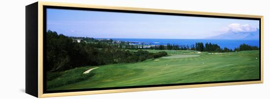 Golf Course at the Oceanside, Kapalua Golf Course, Maui, Hawaii, USA-null-Framed Stretched Canvas