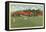 Golf Course, Chenango, Binghamton, New York-null-Framed Stretched Canvas