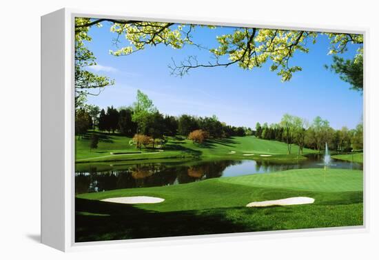 Golf Course, Congressional Country Club, Potomac, Montgomery County, Maryland, USA-null-Framed Premier Image Canvas