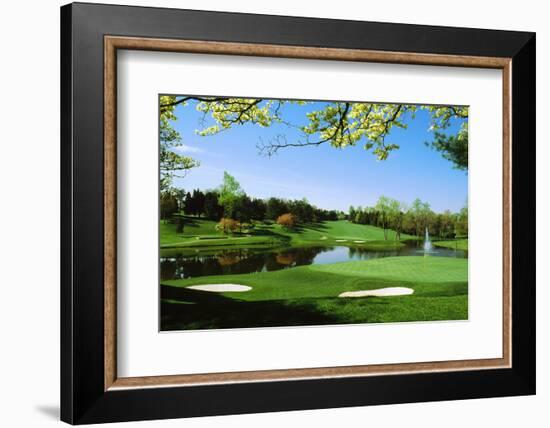 Golf Course, Congressional Country Club, Potomac, Montgomery County, Maryland, USA-null-Framed Photographic Print