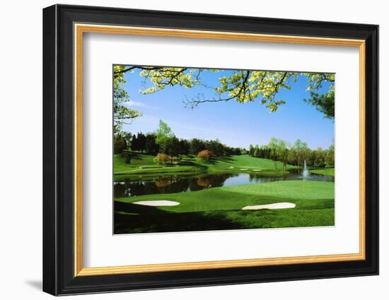 Golf Course, Congressional Country Club, Potomac, Montgomery County, Maryland, USA-null-Framed Photographic Print