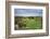 Golf Course Fairway, Scottsdale,Arizona,Usa-BCFC-Framed Photographic Print