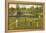 Golf Course, Ft. Myers, Florida-null-Framed Stretched Canvas