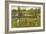 Golf Course, Ft. Myers, Florida-null-Framed Premium Giclee Print