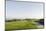Golf Course, Green Just after Sunrise, Marriott Golf and Beach Resort-Axel Schmies-Mounted Photographic Print
