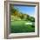 Golf Course, Raven Golf Club, Snowshoe, Pocahontas County, West Virginia, USA-null-Framed Photographic Print