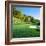 Golf Course, Raven Golf Club, Snowshoe, Pocahontas County, West Virginia, USA-null-Framed Photographic Print