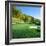 Golf Course, Raven Golf Club, Snowshoe, Pocahontas County, West Virginia, USA-null-Framed Photographic Print