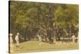 Stretched Canvas Print
