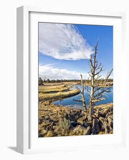 Golf Course View, Bend, Oregon, USA-Tom Norring-Framed Photographic Print