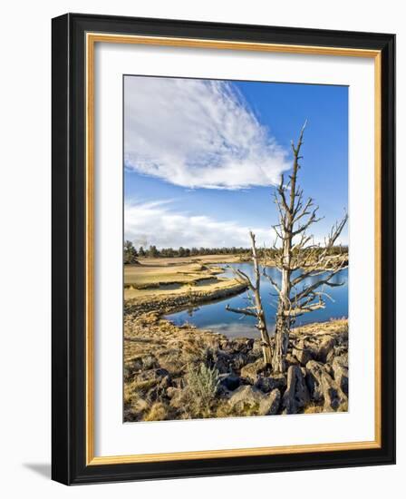 Golf Course View, Bend, Oregon, USA-Tom Norring-Framed Photographic Print