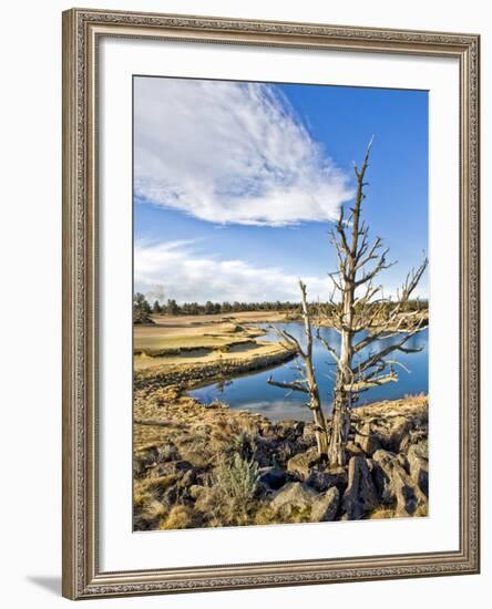 Golf Course View, Bend, Oregon, USA-Tom Norring-Framed Photographic Print