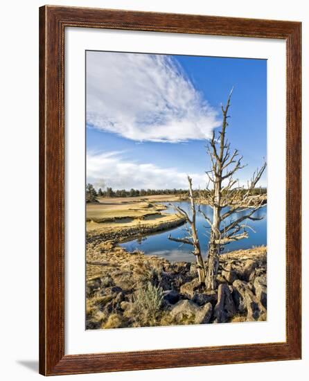 Golf Course View, Bend, Oregon, USA-Tom Norring-Framed Photographic Print