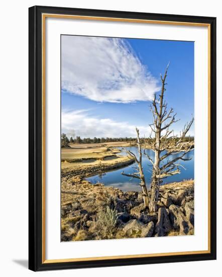 Golf Course View, Bend, Oregon, USA-Tom Norring-Framed Photographic Print