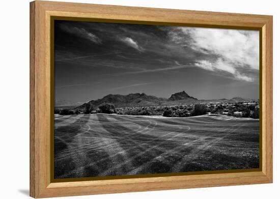 Golf CourseScottsdale Arizona b/w-null-Framed Stretched Canvas