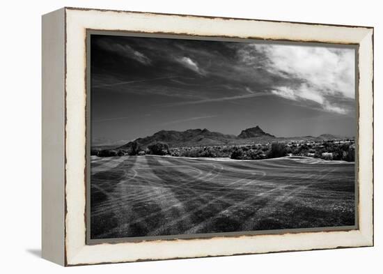 Golf CourseScottsdale Arizona b/w-null-Framed Stretched Canvas