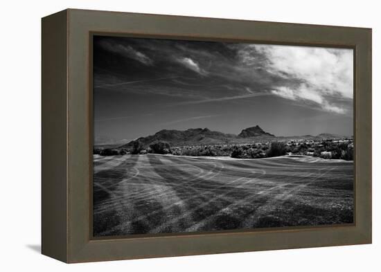 Golf CourseScottsdale Arizona b/w-null-Framed Stretched Canvas