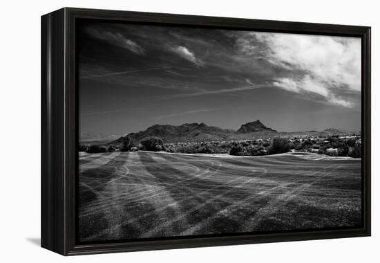 Golf CourseScottsdale Arizona b/w-null-Framed Stretched Canvas