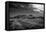 Golf CourseScottsdale Arizona b/w-null-Framed Stretched Canvas