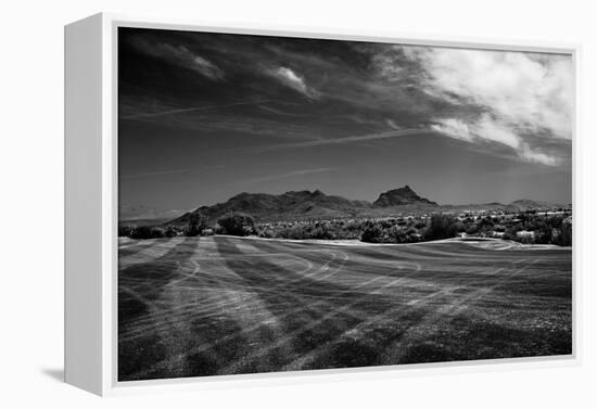 Golf CourseScottsdale Arizona b/w-null-Framed Stretched Canvas