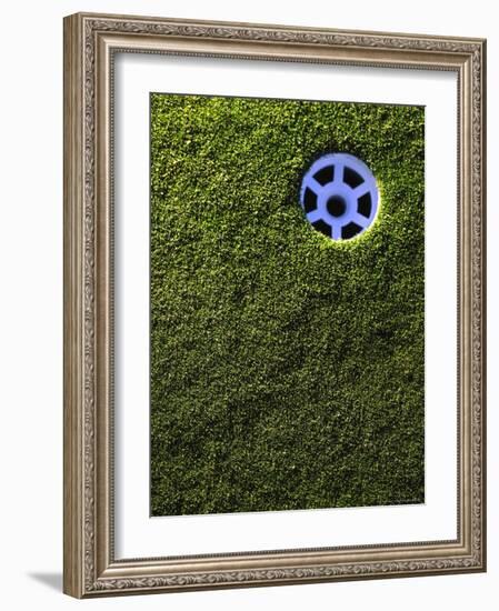 Golf Cup-Joseph Hancock-Framed Photographic Print