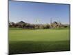 Photographic Print