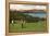 Golf, Seattle, Washington-null-Framed Stretched Canvas