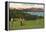 Golf, Seattle, Washington-null-Framed Stretched Canvas