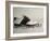 Golf Still Life-null-Framed Photographic Print