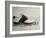 Golf Still Life-null-Framed Photographic Print