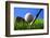 Golf.-Karam Miri Photography-Framed Premium Photographic Print