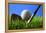 Golf.-Karam Miri Photography-Framed Premier Image Canvas