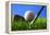 Golf.-Karam Miri Photography-Framed Premier Image Canvas