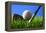 Golf.-Karam Miri Photography-Framed Premier Image Canvas