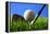 Golf.-Karam Miri Photography-Framed Premier Image Canvas