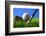 Golf.-Karam Miri Photography-Framed Photographic Print